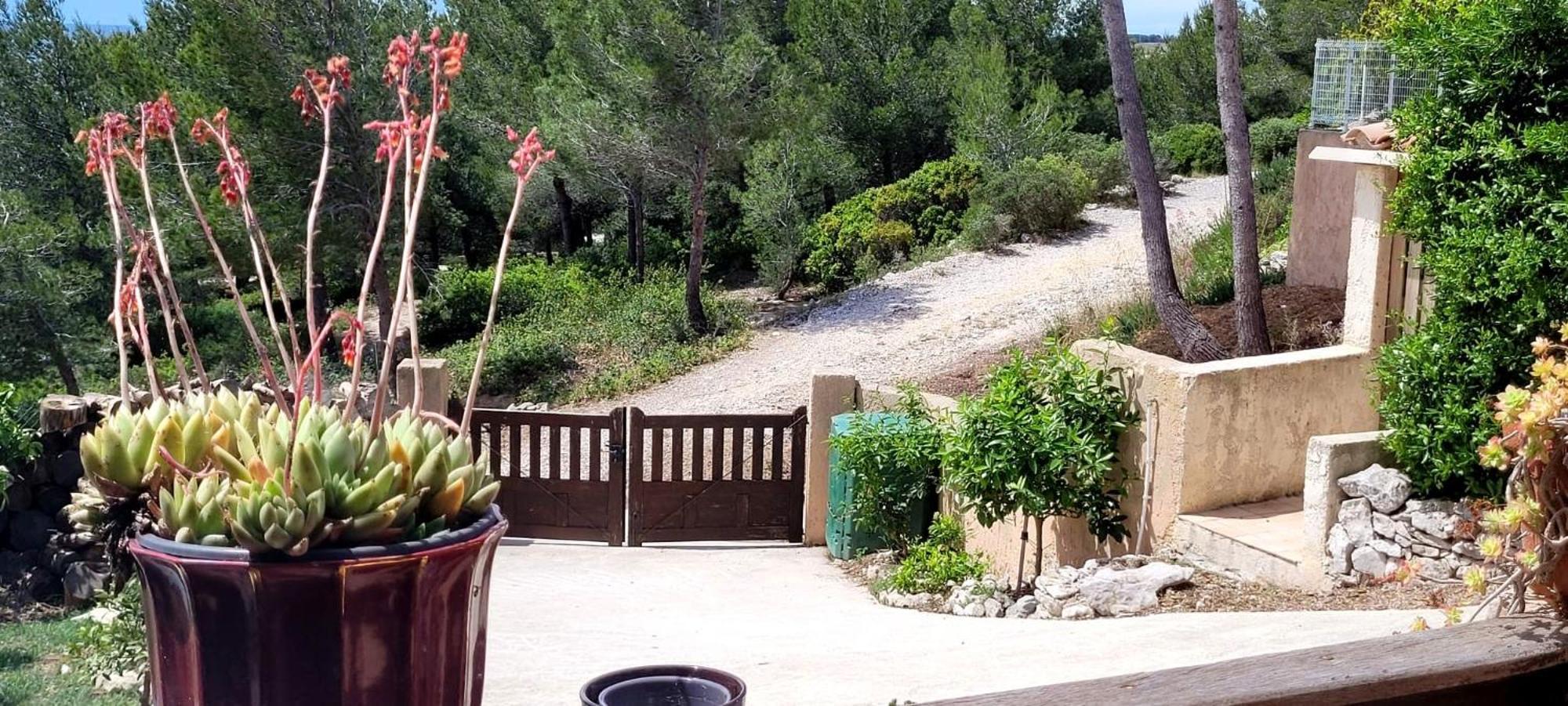 Appartement T2 De Charme Sausset-les-Pins Eksteriør billede